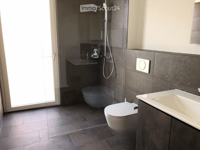 Modern bathroom with dark tiled walls and floor, featuring a toilet, sink, and glass-enclosed shower with a handheld showerhead. A large window provides natural light.
