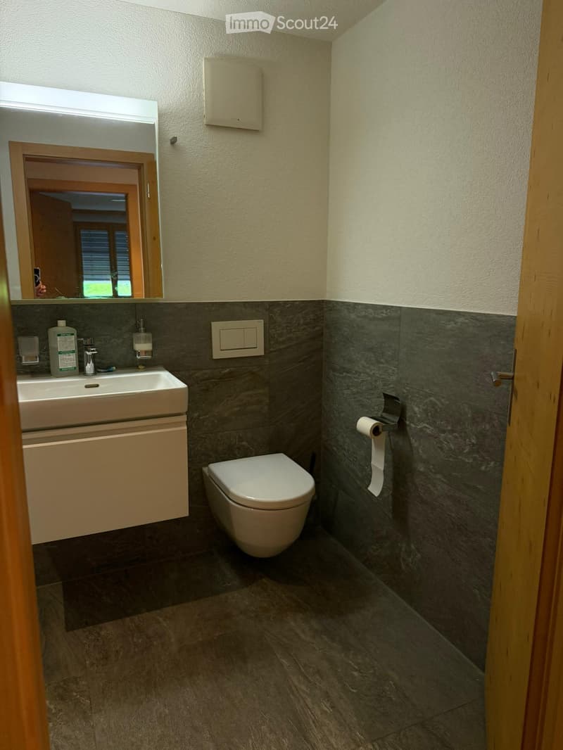 Modern bathroom with dark grey tiles, white sink, toilet, and mirror. Includes a soap dispenser and toilet paper holder.