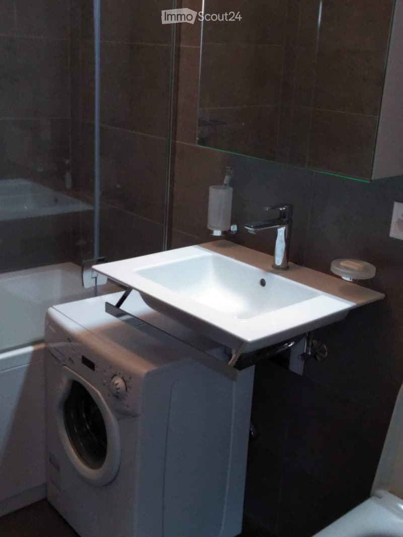 Modern bathroom with a white sink on a washing machine, chrome faucet, toothbrush holder, and a glass shower enclosure visible in the background.