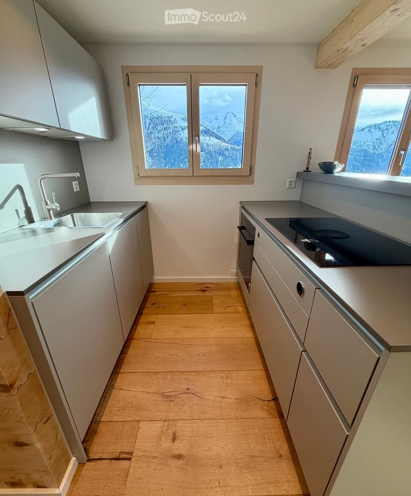 modern kitchen, wooden floor, granite countertops, stainless steel sink, integrated appliances, double window