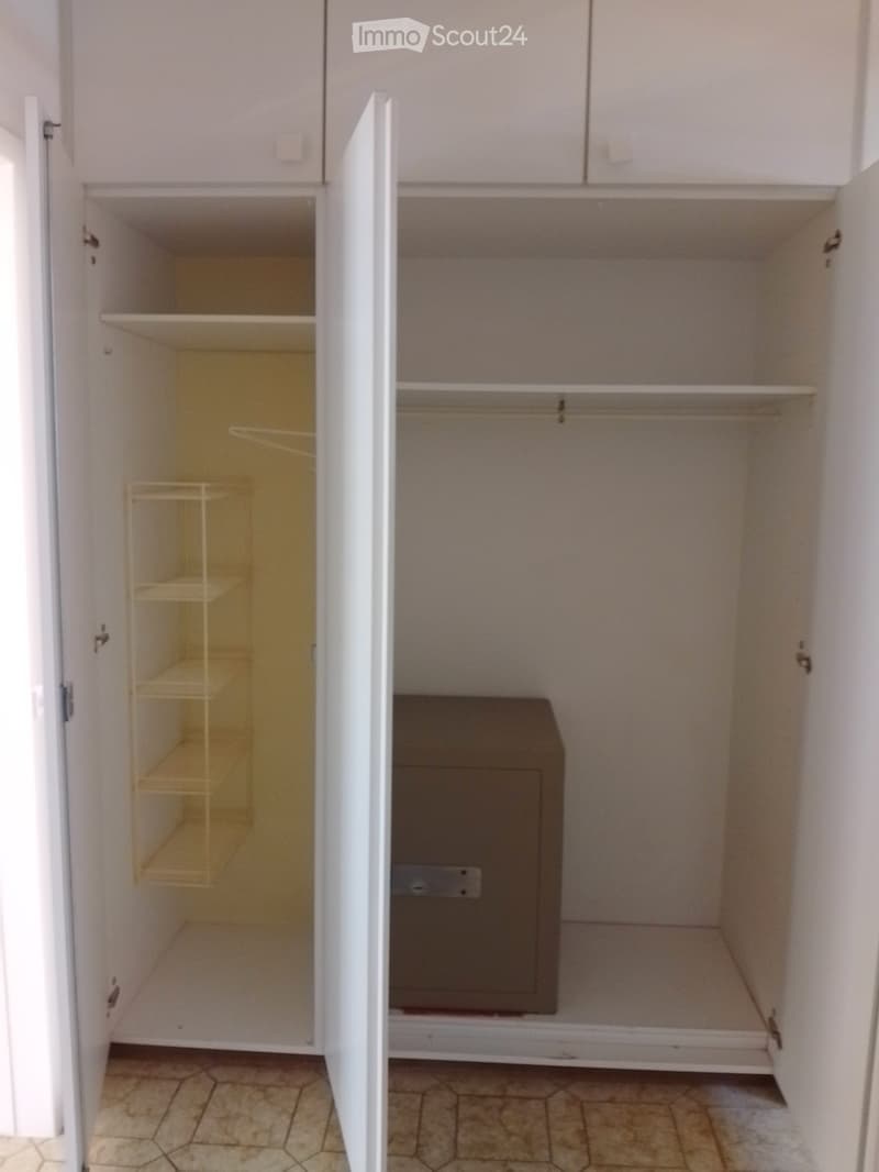 Empty closet with built-in shelves and a small wire basket on the left side. The right side has a closed cabinet door and a small brown box on the floor.