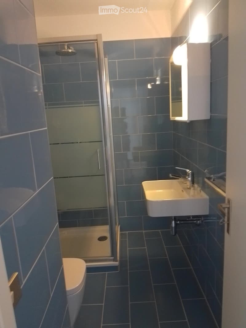 Modern bathroom with blue tiles, a glass-enclosed shower, a white toilet, a sink with a mirror, and a built-in light above the mirror.