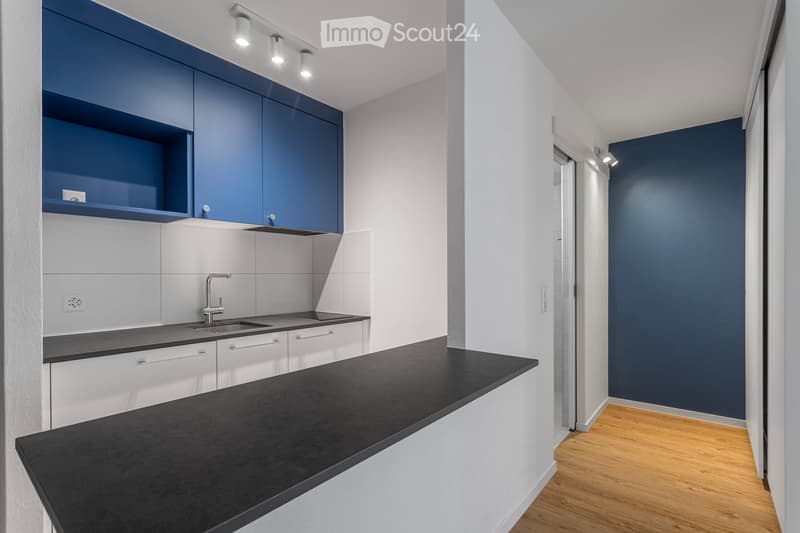 Modern kitchen with white and blue cabinets, black countertop, stainless steel sink, and wooden flooring.