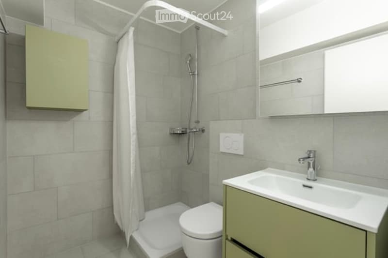 Modern bathroom with grey tiles, a toilet, a sink with a cabinet, a shower with a curtain, and a mirror above the sink.