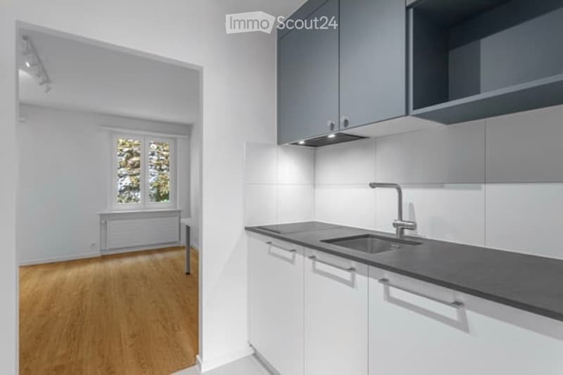 Empty room with wooden flooring, white walls, and a window with a view of trees. The adjacent kitchen area features white cabinets, a black countertop, and a sink.