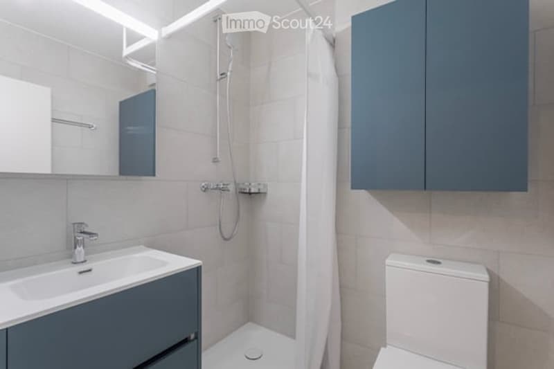 Modern bathroom with a white tiled shower area, a sink with a mirror, and a toilet. Blue cabinets are mounted on the walls, and the space is well-lit with sleek, contemporary design.