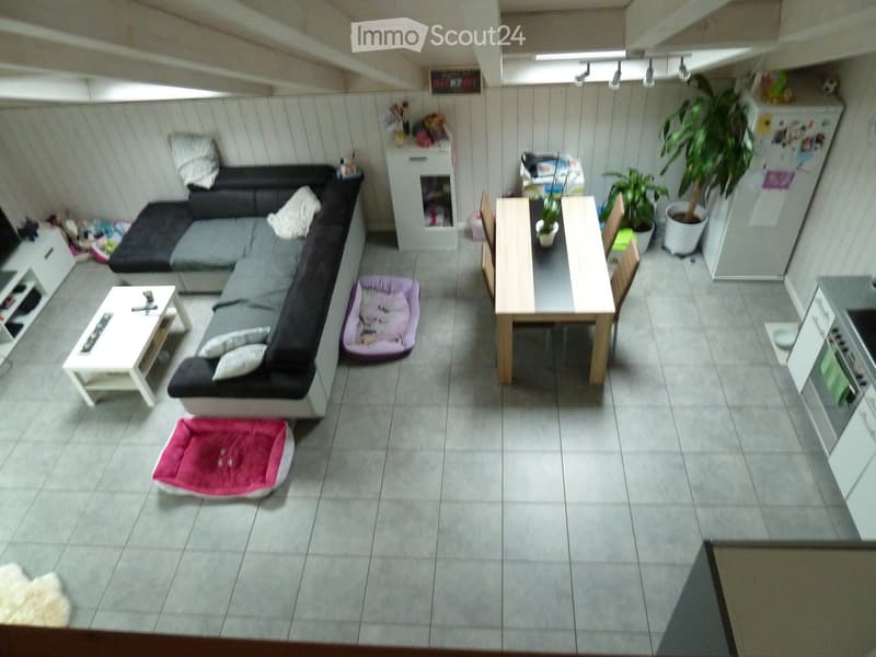 A compact living room with a grey sectional sofa, white coffee table, dining table with chairs, and a small kitchen area visible. Includes a dog bed and potted plants.