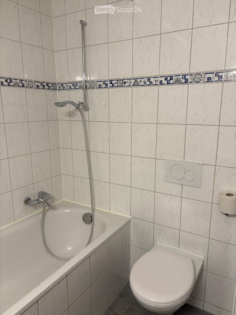 Bathroom with a bathtub, toilet, faucet, showerhead, and toilet paper holder. The walls are tiled with a decorative border.
