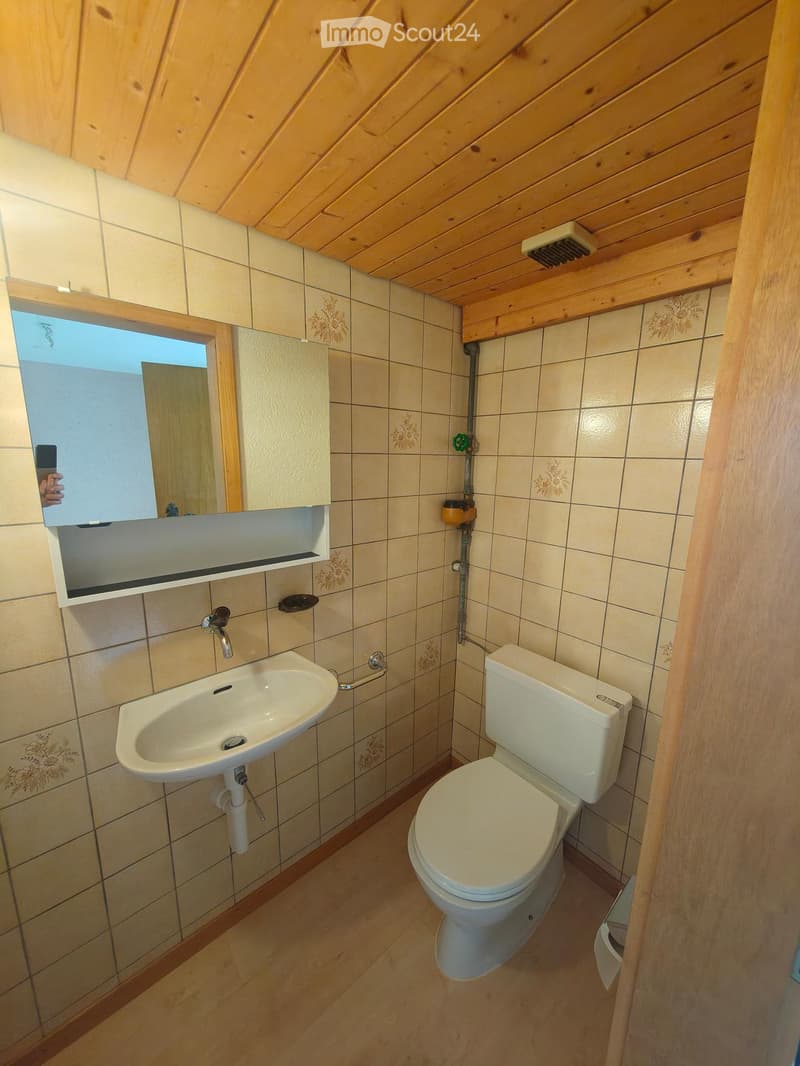 Small bathroom with a toilet, sink, mirror, and wooden ceiling. Light-colored tiles on walls and floor.