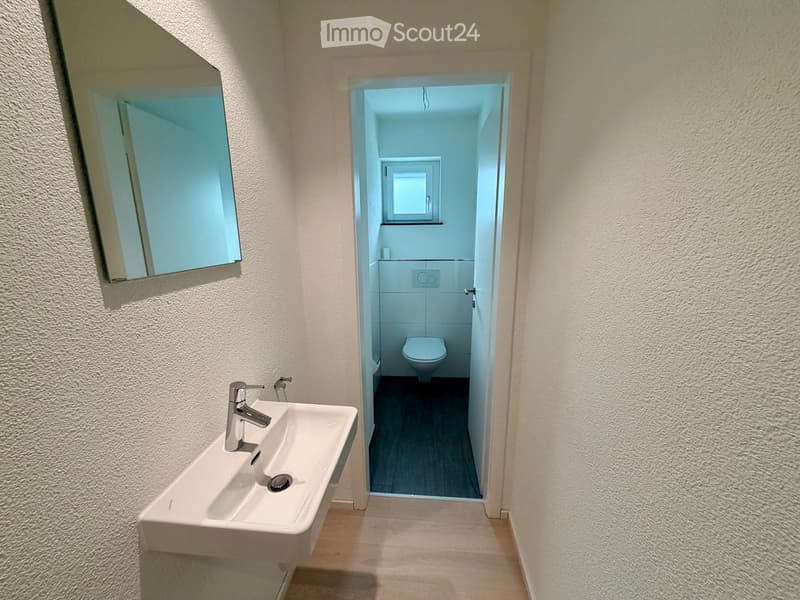 Modern bathroom with a white sink, chrome faucet, mirror, and a separate toilet compartment with a window.