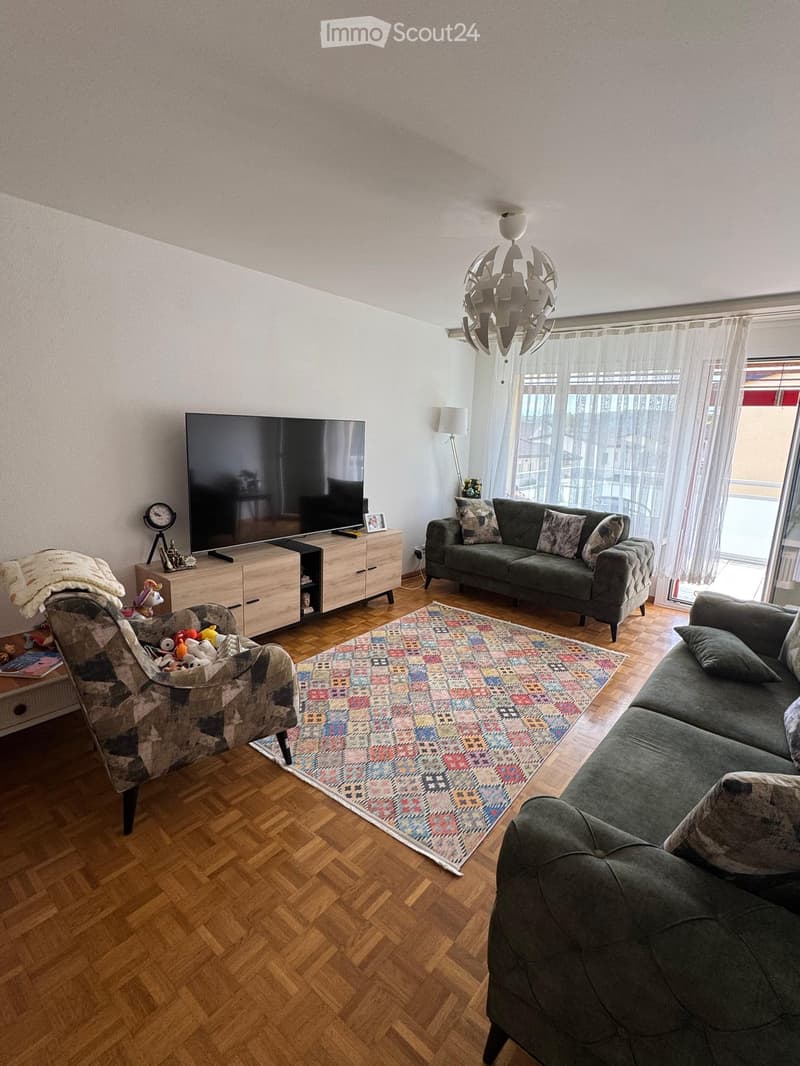 Living room with wooden flooring, grey sofa, armchair, coffee table, television, floor lamp, and a colorful rug.