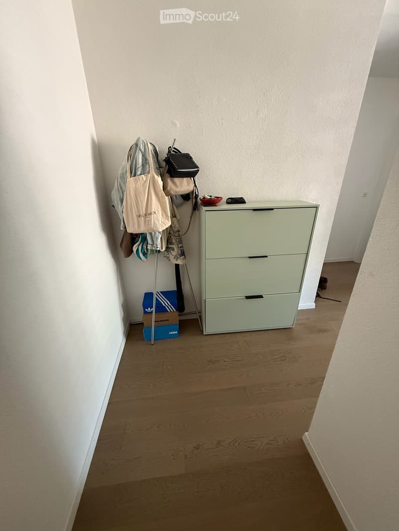 Appartement à Vevey (3)