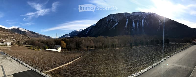 View of a vineyard area with rows of bare grapevines, surrounded by trees and distant snow-capped mountains under a clear blue sky.