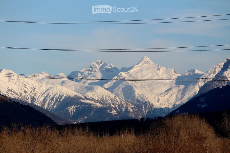 A panoramic view of snow-capped mountain peaks under a clear blue sky, with a foreground of dry grass and sparse vegetation.
