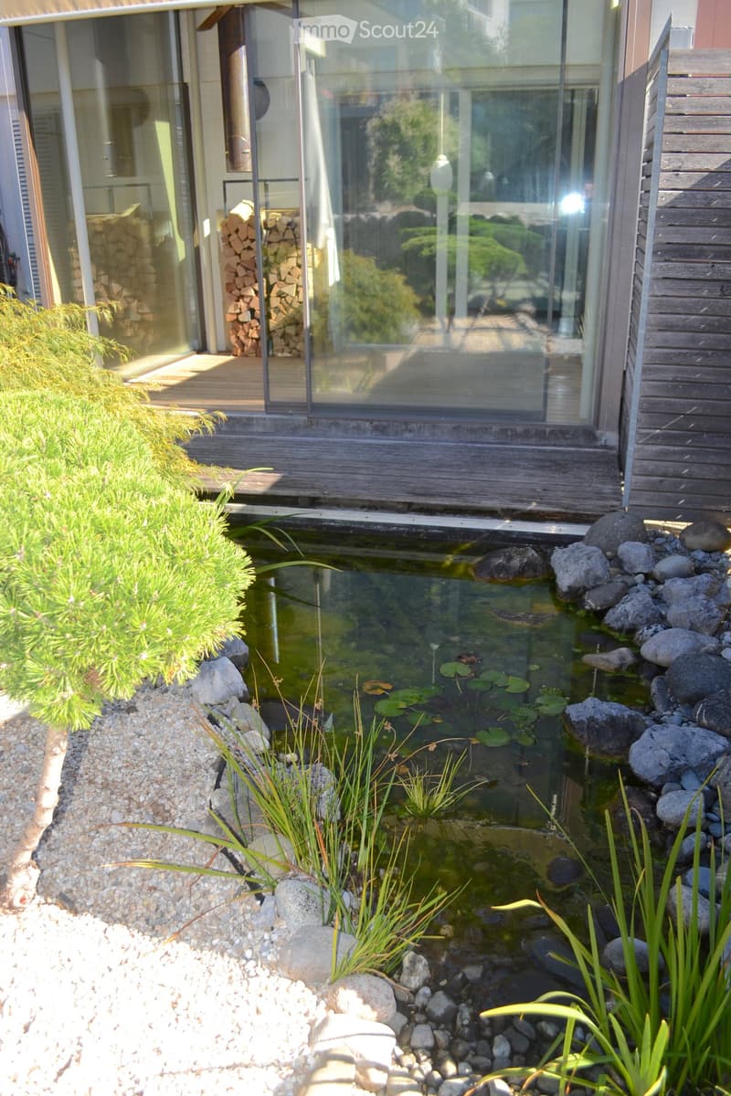 Garden area with a small pond surrounded by rocks, aquatic plants, and a wooden deck leading to a modern house with large glass windows.
