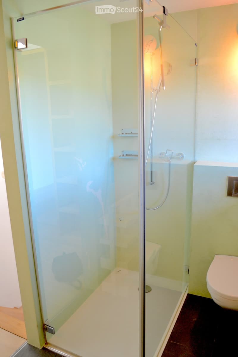 Modern bathroom with a glass-enclosed shower, a toilet, and a sleek, contemporary design.