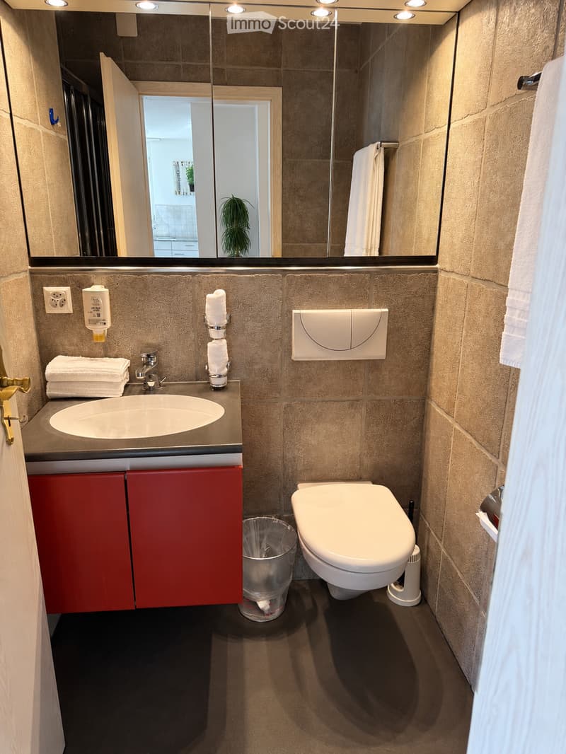 Modern bathroom with a sink, toilet, mirror, and red cabinet. Towels and a trash can are visible.
