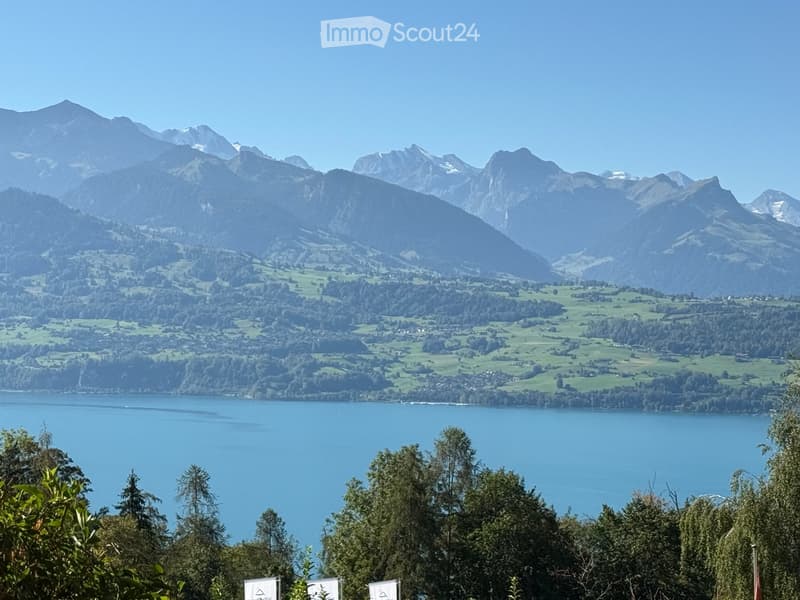 Panoramic view of a lake surrounded by green fields and mountains under a clear blue sky.