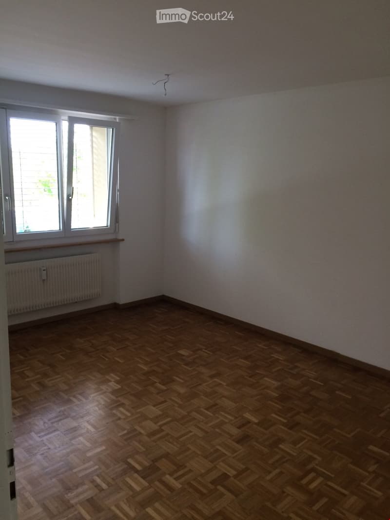 empty room, white walls, windows, wooden floor, heating radiators