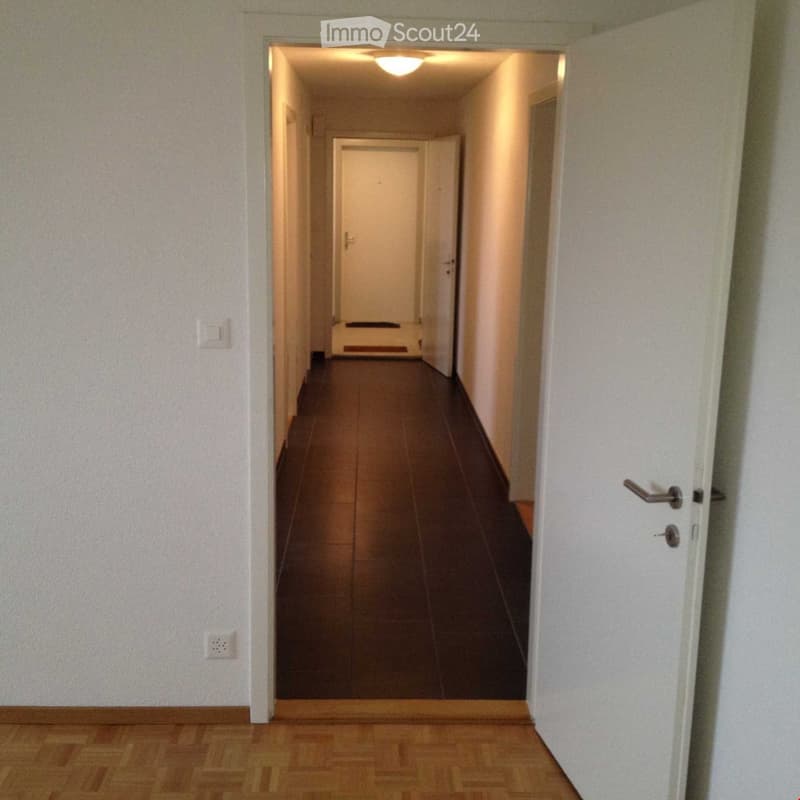 White walls, dark wooden floors, 1 power outlet, open door, another room door visible