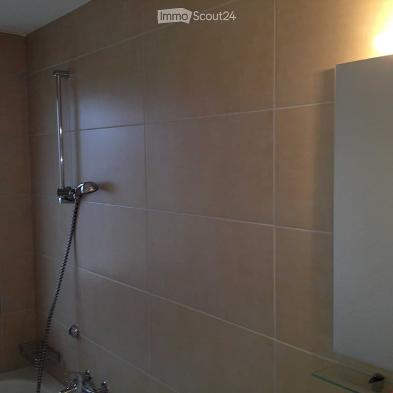 Bathroom with a shower and bathtub.