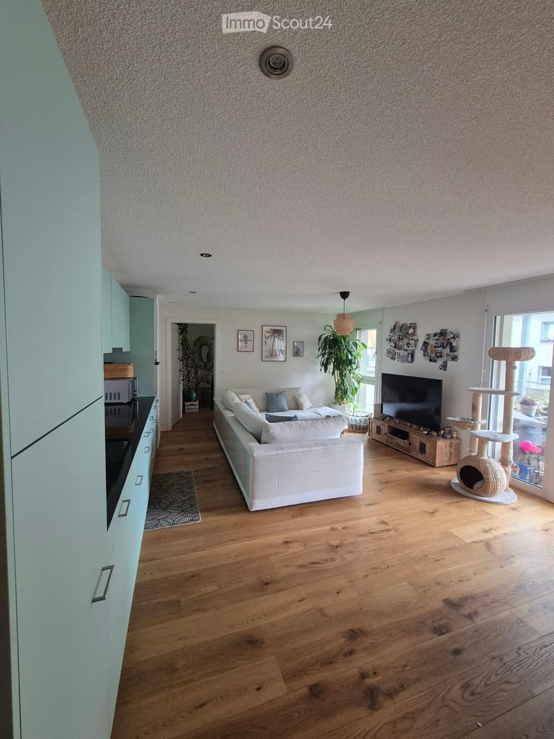 Modern living room with light wooden flooring, white sofa, coffee table, cat tree, television, and kitchen area visible in the background.