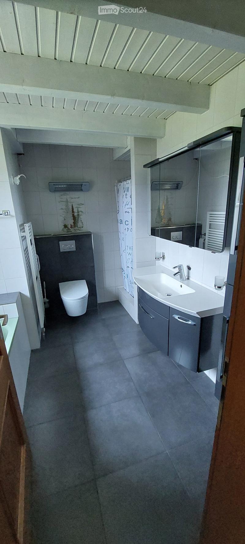 Modern bathroom with a toilet, sink, and mirrored shower area. Features grey tiles and a sleek design.