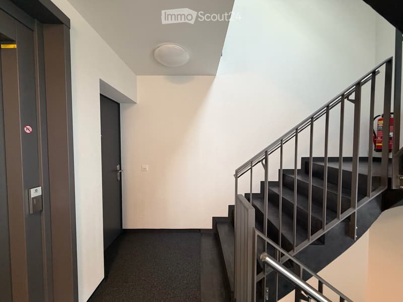 Stilvolles Treppenhaus mit Lift direkt neben Wohnungszugang