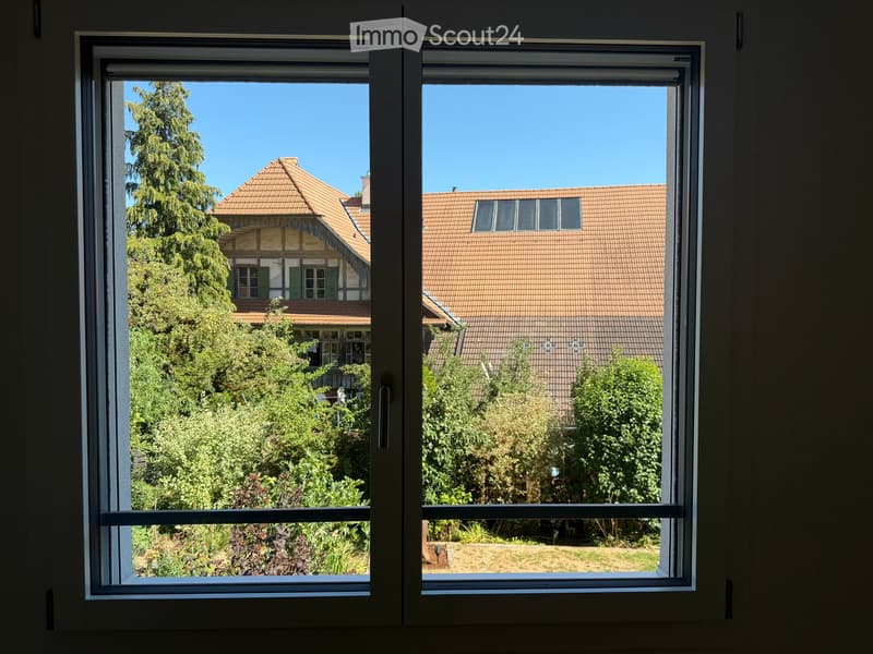 Fenster mit Insektenschutzgitter Ostseite
