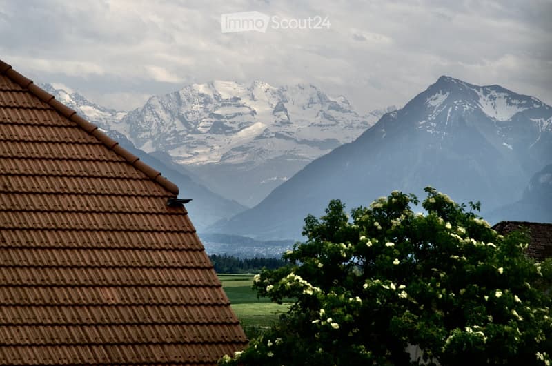 A view of a tiled roof with a lush green garden in the foreground and snow-capped mountains in the background.