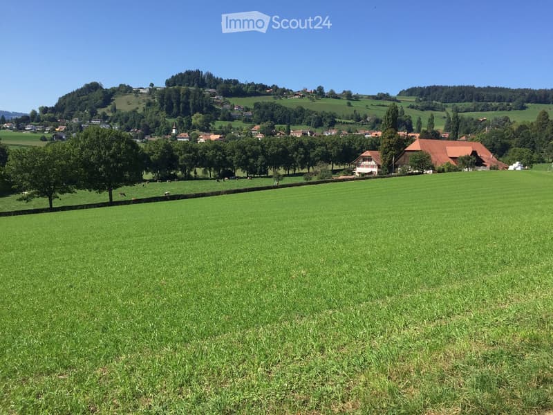 A wide, green field with scattered trees and a few houses in the background, surrounded by rolling hills and a clear blue sky.