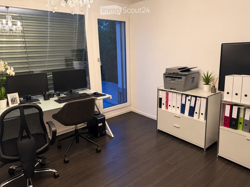 Modern office space with a large desk, two computer monitors, a comfortable office chair, a printer, filing cabinets, and decorative plants.