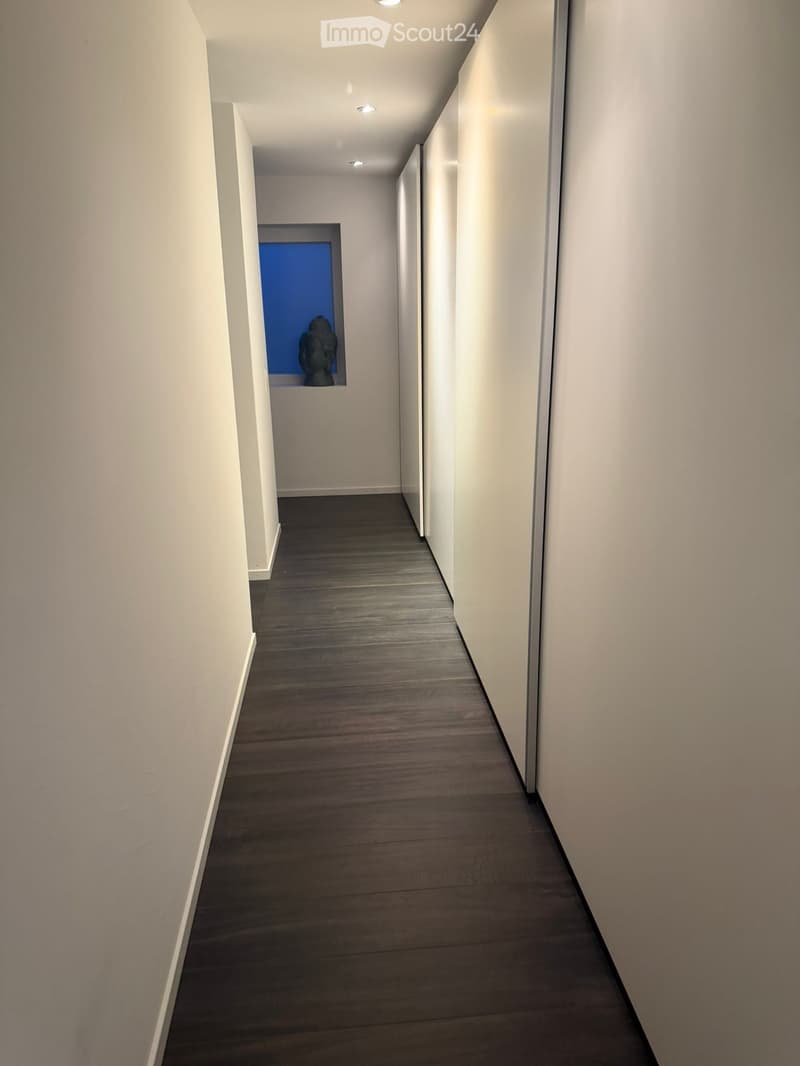 Modern hallway with dark wooden flooring, white walls, and recessed lighting. A small alcove features a blue accent wall and a decorative statue.