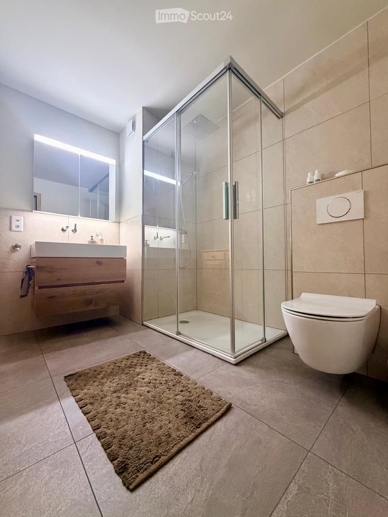 Modern bathroom with a glass-enclosed shower, a wooden sink cabinet, a toilet, a large mirror, and a brown rug on the floor.