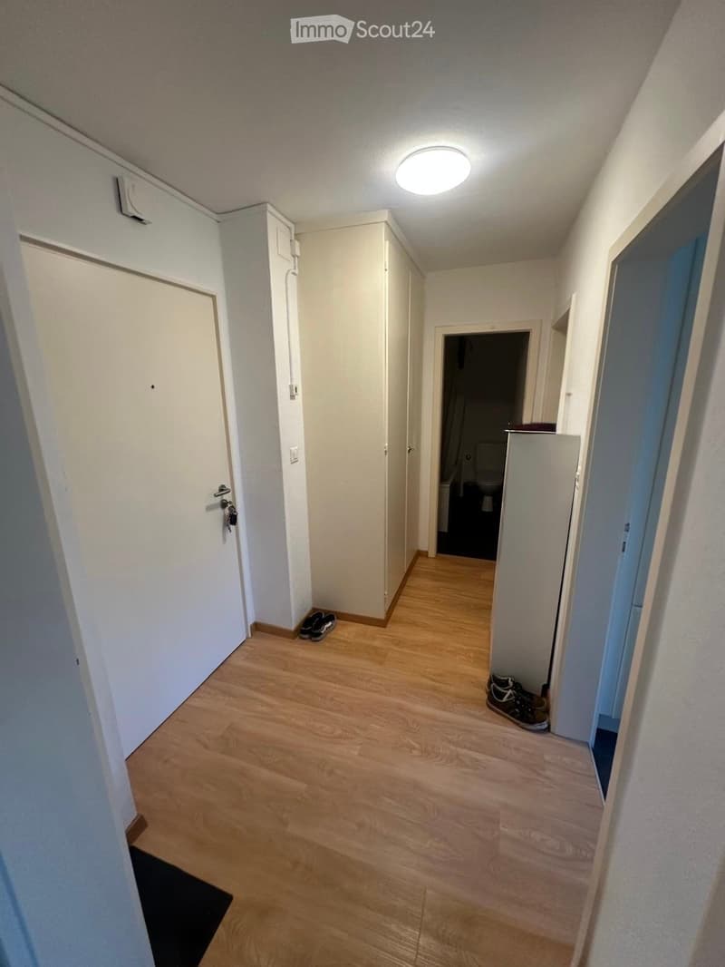 A narrow hallway with wooden flooring, white walls, and a ceiling light. There are two pairs of shoes placed on the floor near the walls, and a small glimpse of a bathroom is visible at the end of the hallway.