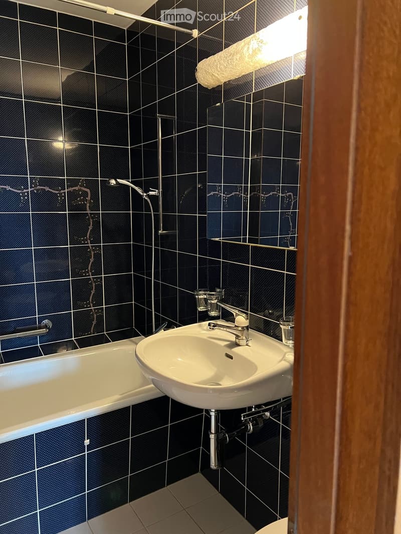 Modern bathroom with dark blue tiled walls, a white bathtub, a white sink with a chrome faucet, and a mirror above the sink. A towel is hanging on a rack.