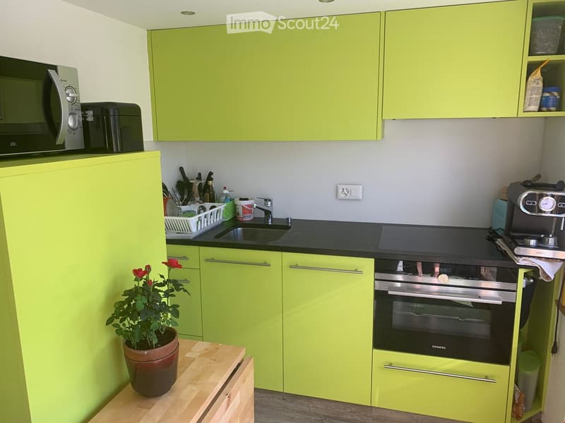 Bright kitchen with green cabinets, stainless steel appliances, and a wooden cutting board with a potted plant on it.