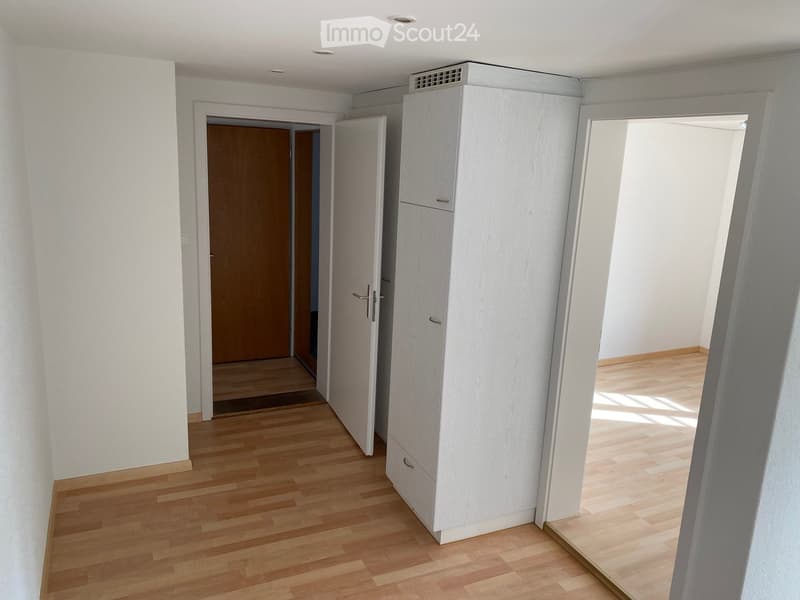 Empty hallway with wooden flooring, white walls, and a white cabinet. There is a wooden door at the end of the hallway and a glass door leading to another room.