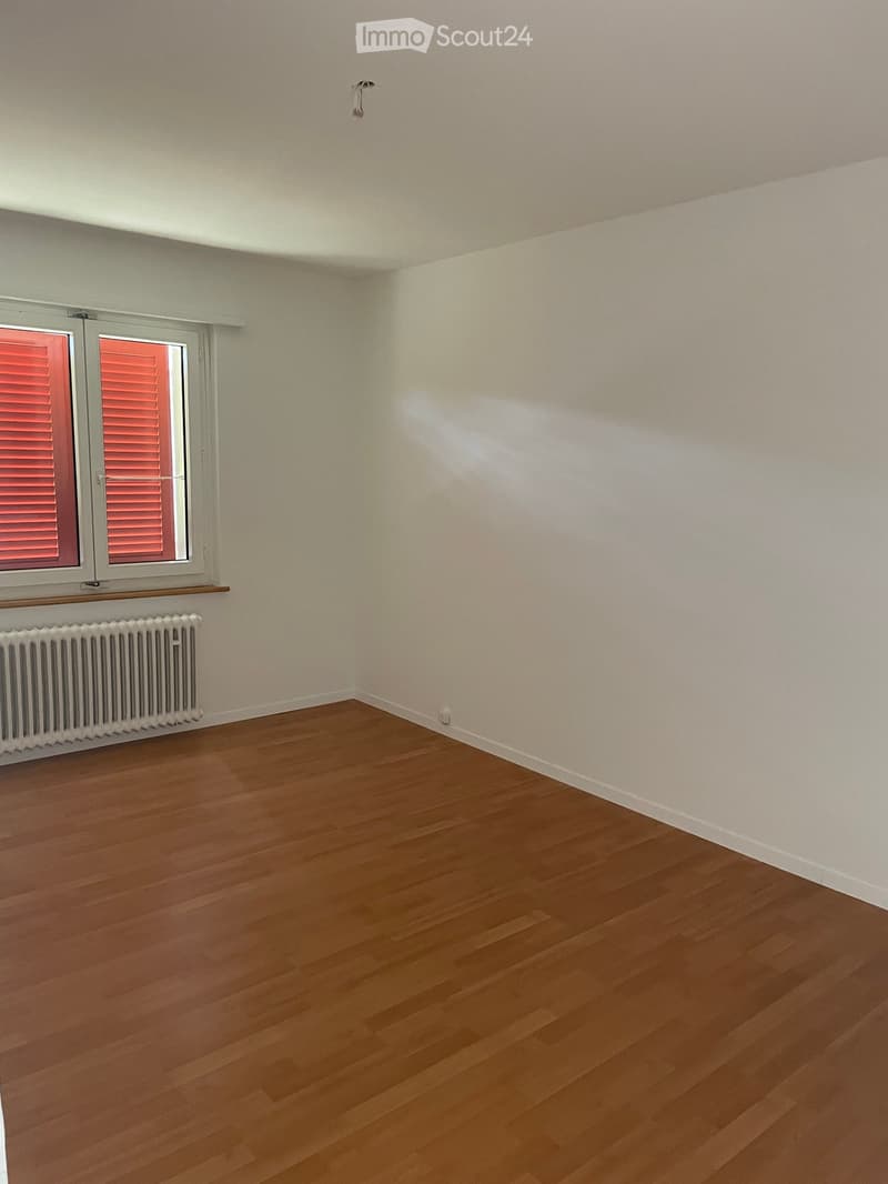 Empty room with wooden flooring, white walls, a window with red shutters, and a radiator below the window.