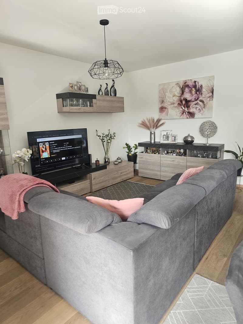 Modern living room with a grey sectional sofa, pink cushions, a television on a wooden stand, wooden shelves with decorative items, and a large abstract painting on the wall.