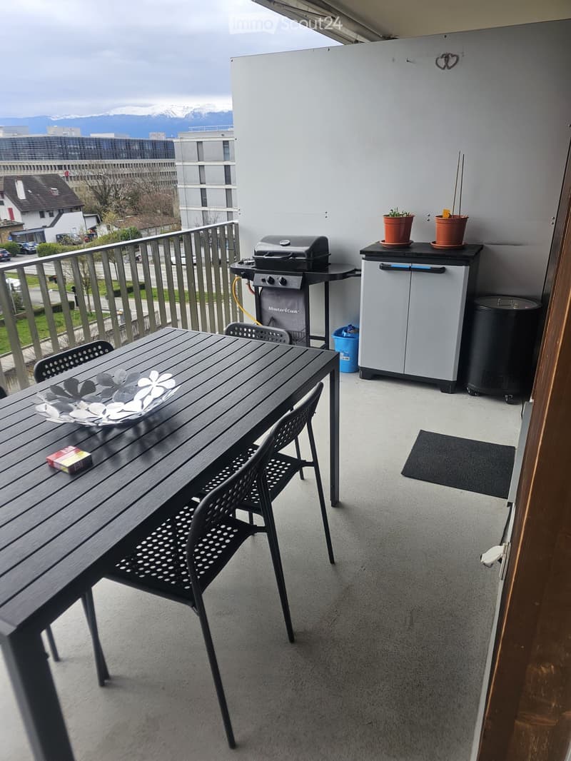 Balcony with a wooden table, chairs, grill, storage unit, flower pots, and a trash bin. Offers a view of the city and mountains.