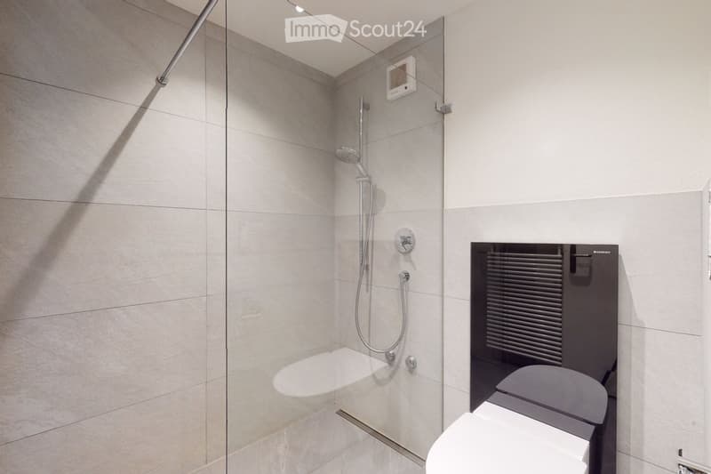 Modern bathroom with a glass-enclosed shower, a toilet, and a built-in radiator. The shower features a handheld sprayer and a fixed overhead showerhead.