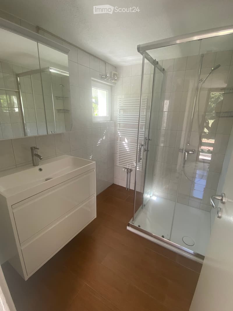 Modern bathroom with a white sink, large mirror, glass-enclosed shower stall, and wooden flooring.