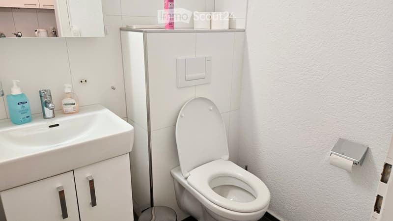 Modern bathroom with a white sink, faucet, toilet, and toilet paper holder. Hand soap dispensers are placed on the sink counter, and a cabinet is visible below the sink.