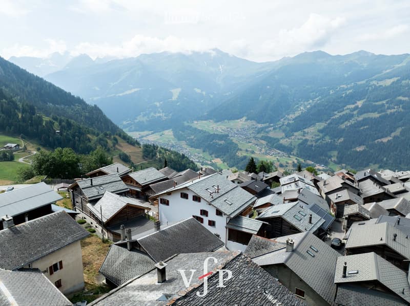 A panoramic view of a village nestled in a mountainous region, featuring numerous houses with grey slate roofs and chimneys, surrounded by lush green forests and distant mountain peaks.