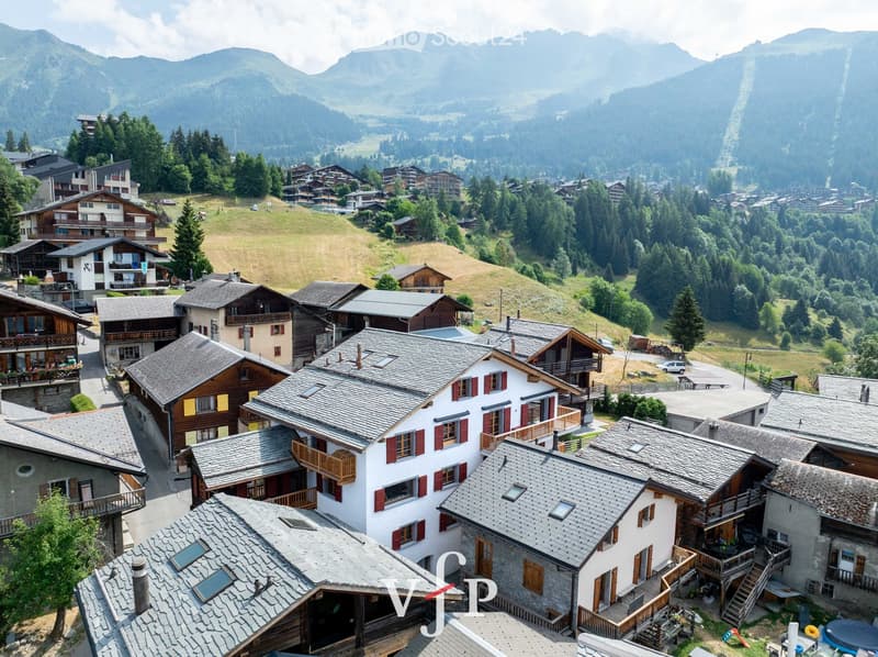 Aerial view of a village with traditional houses, wooden balconies, and stone roofs, surrounded by green fields and mountains.