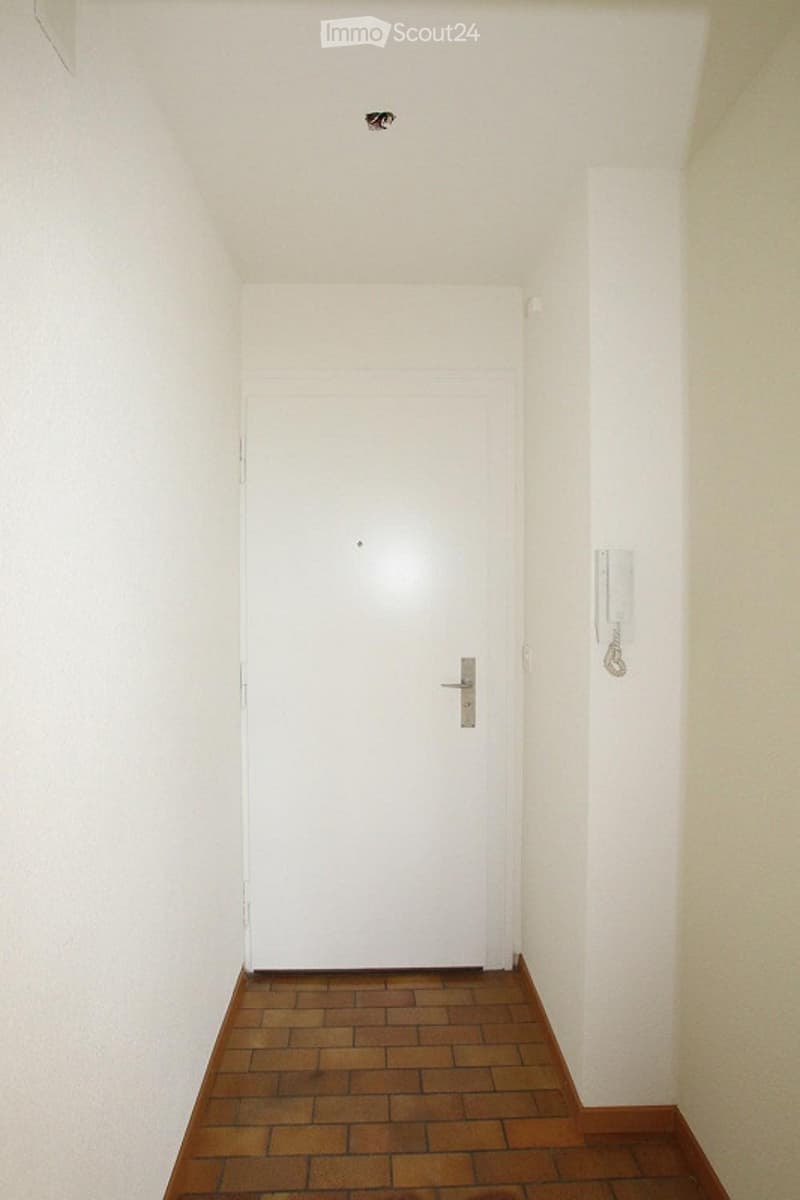 Empty hallway with white walls, wooden floor, and a white door at the end.
