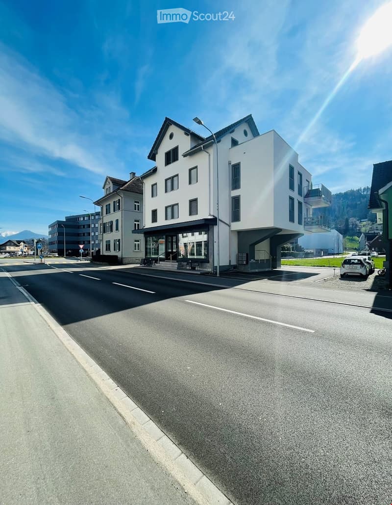 4.5 Zimmer Attikawohnung mit grosser Terrasse (1)