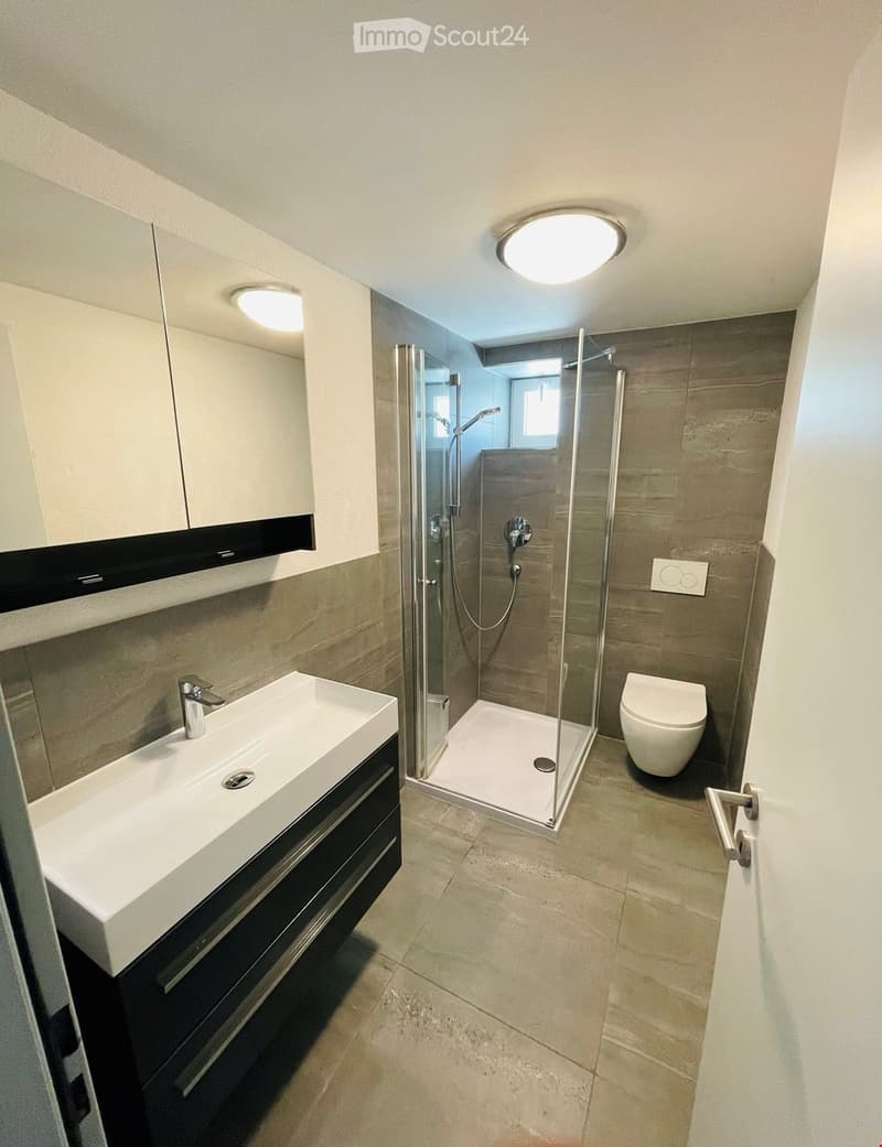 4.5 Zimmer Attikawohnung mit grosser Terrasse (8)