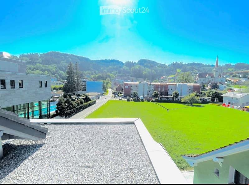 4.5 Zimmer Attikawohnung mit grosser Terrasse (3)